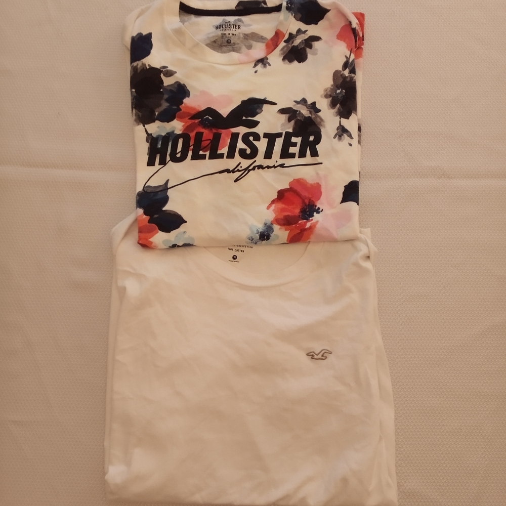 2 for $10 Hollister Mens Tshirt Bundle